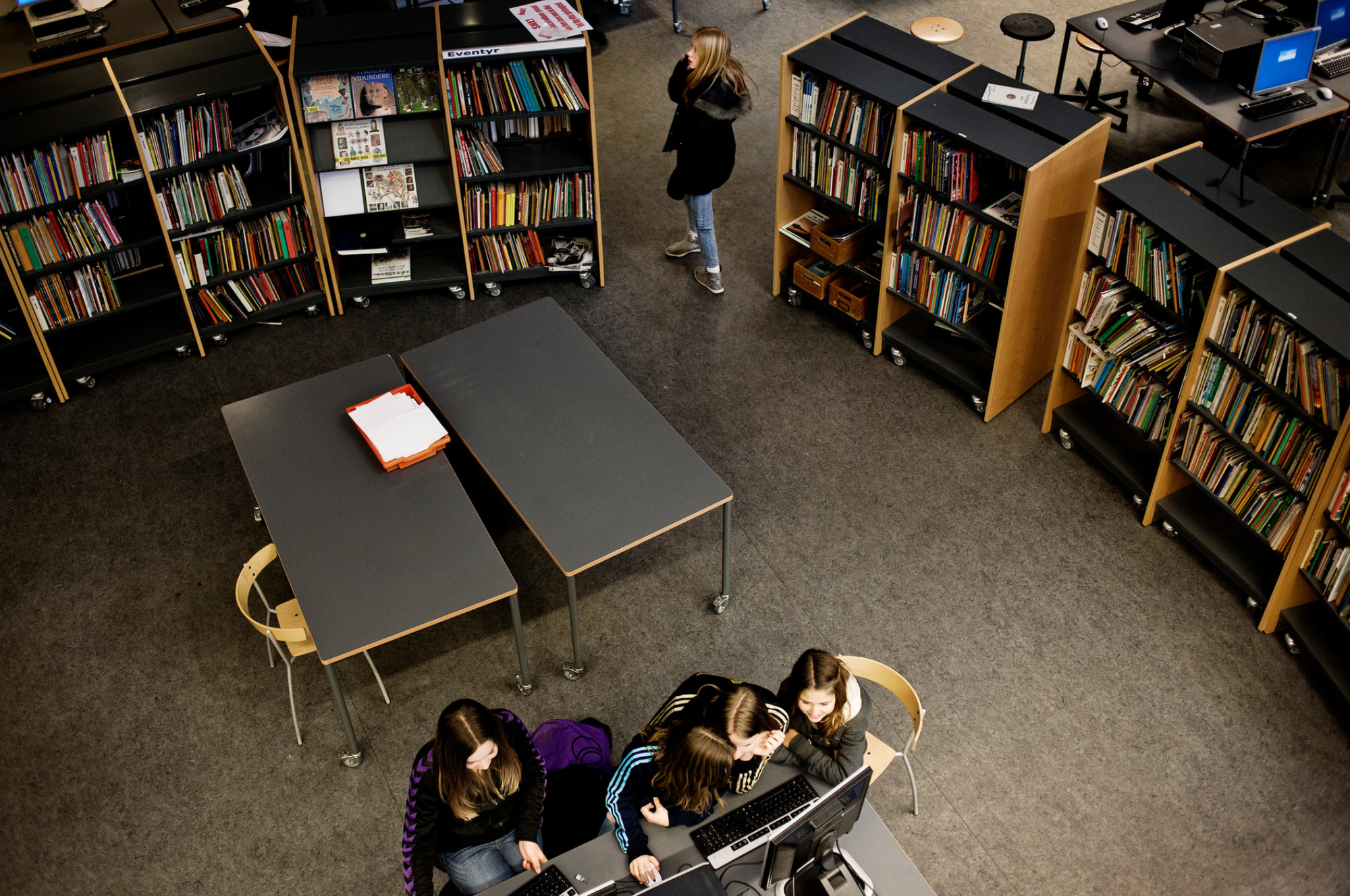 Skolebibliotek. 