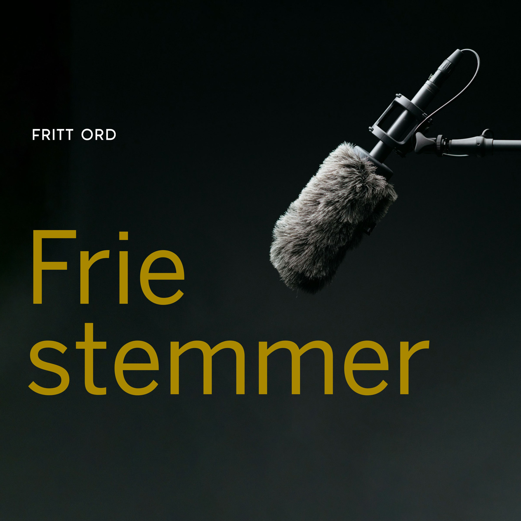 Friestemmer black condenser microphone